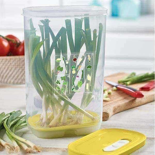 Ventsmart vertical 3,2L (NOVO) - Tupperware