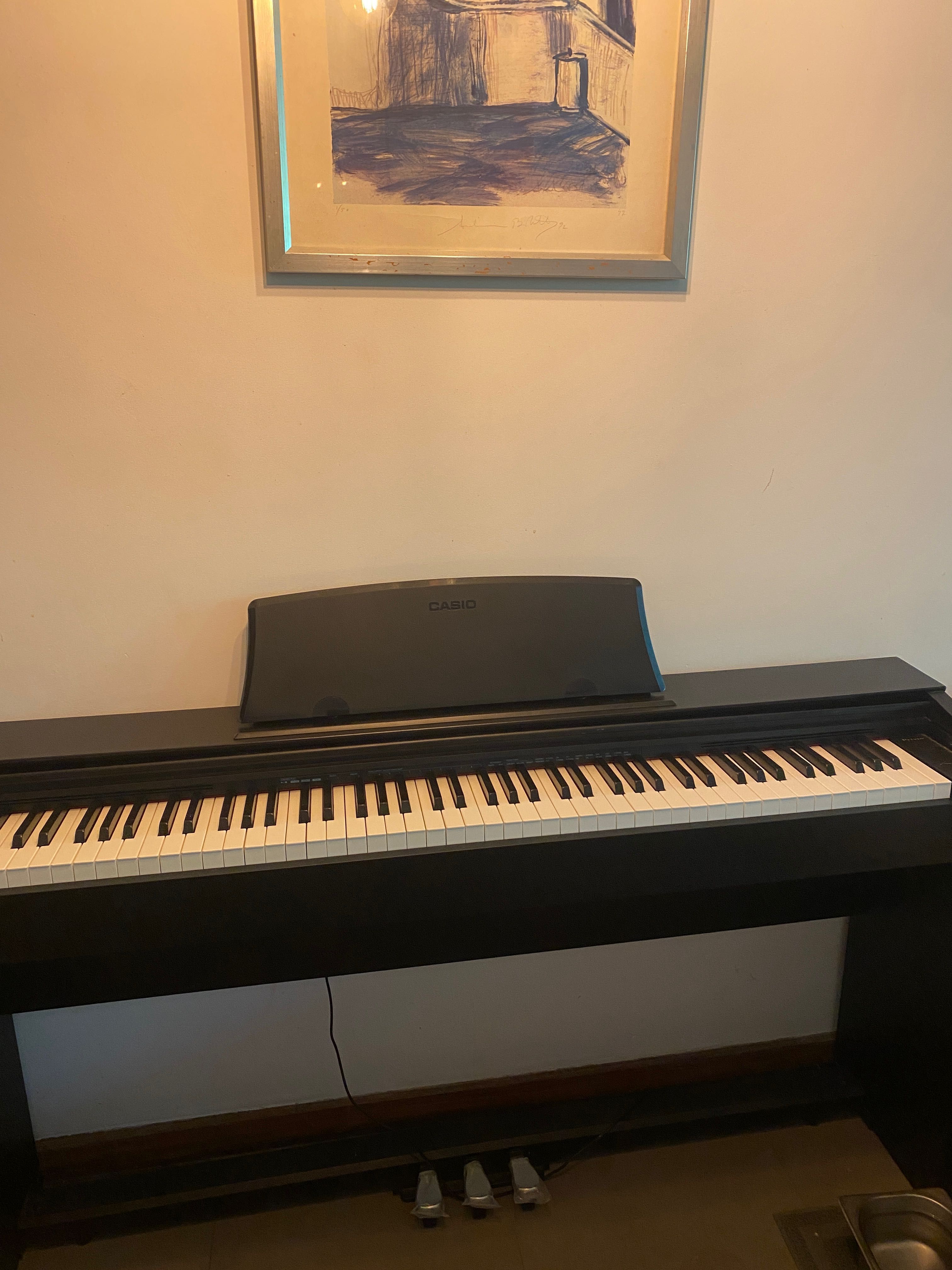 Teclado Casio privia px-770
