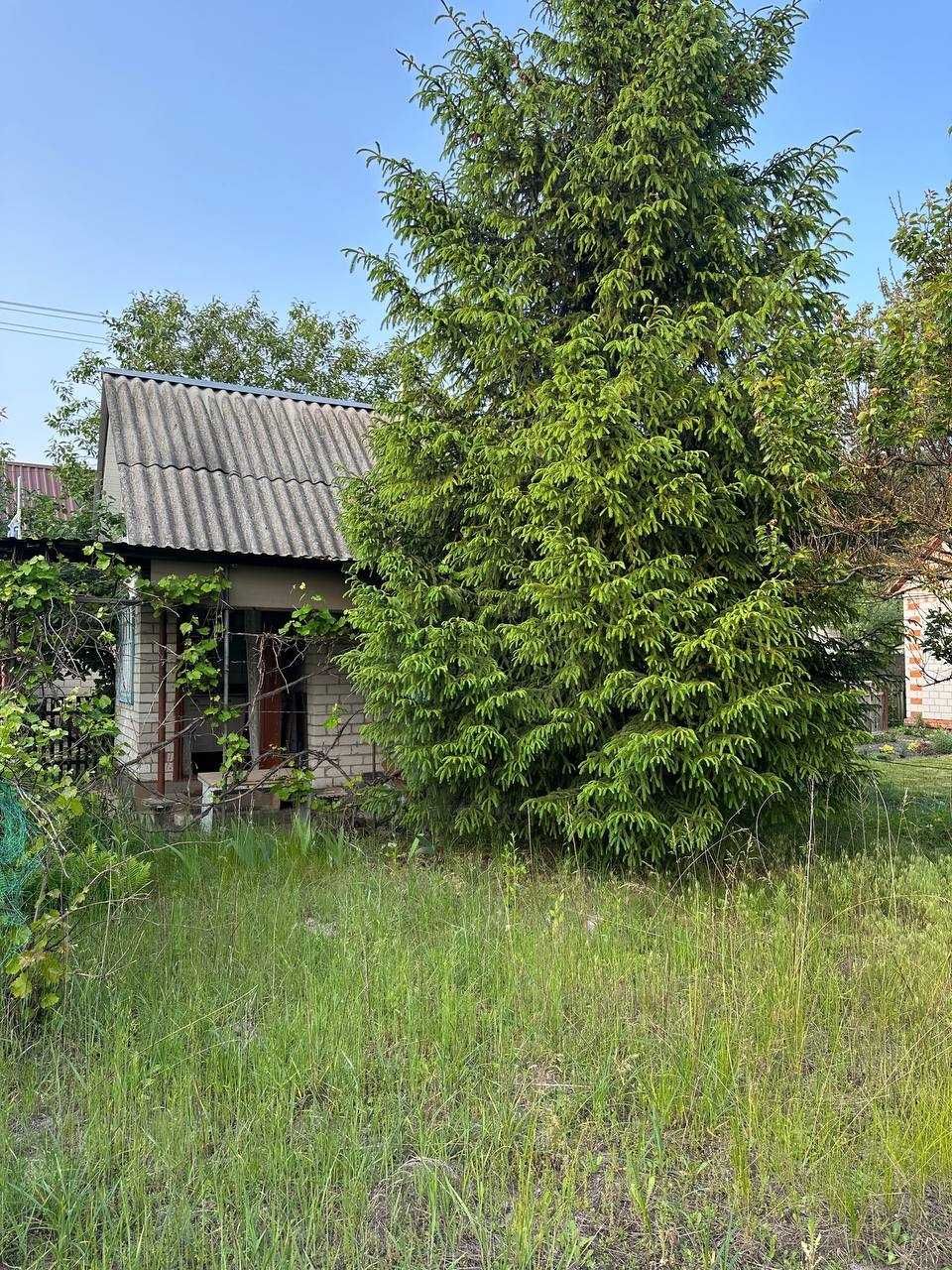 Продаж дачі в СТ «Троянда», с. Жавинка