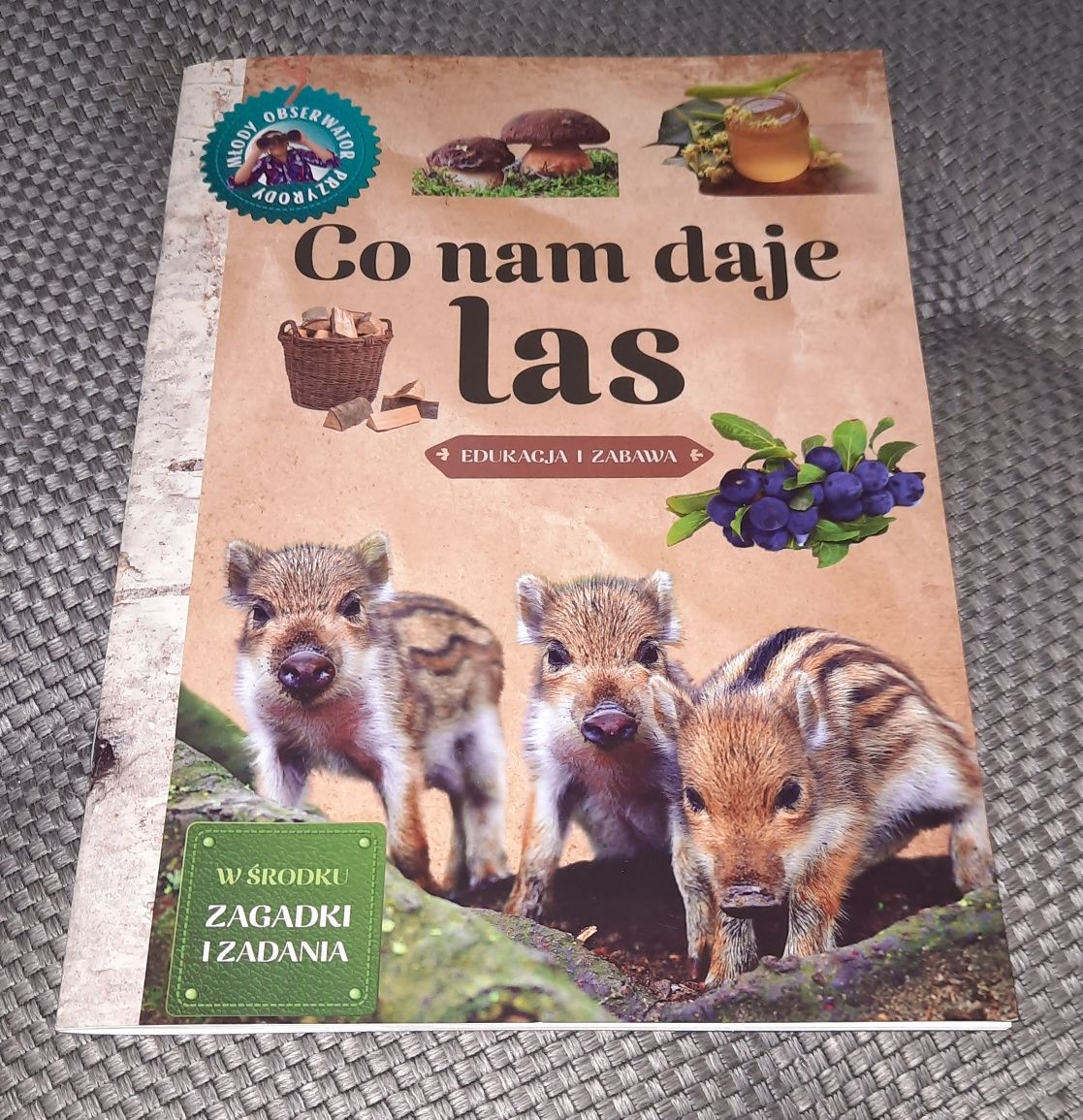 Książeczka z serii Młody obserwator przyrody Co na daje las