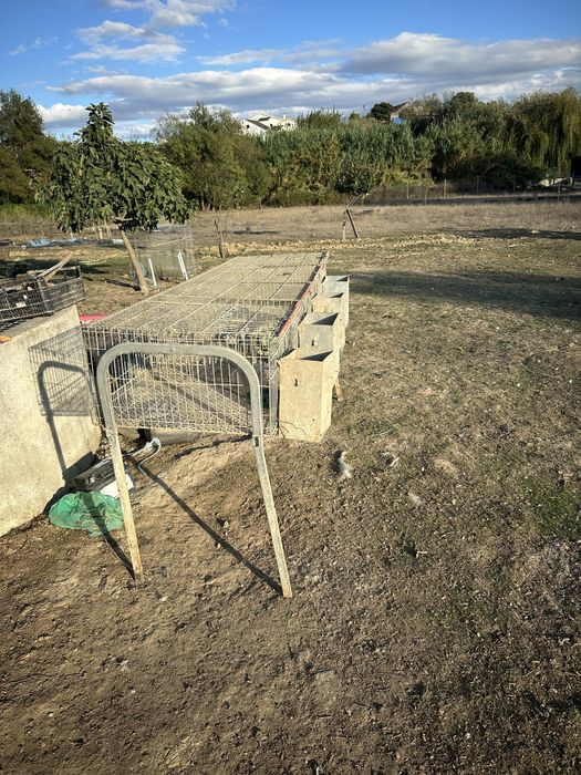 Coelheiras para coelhos ou outros animais