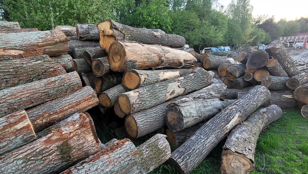 Drewno Dębowe w wałkach, w kawałkach, 2.5m