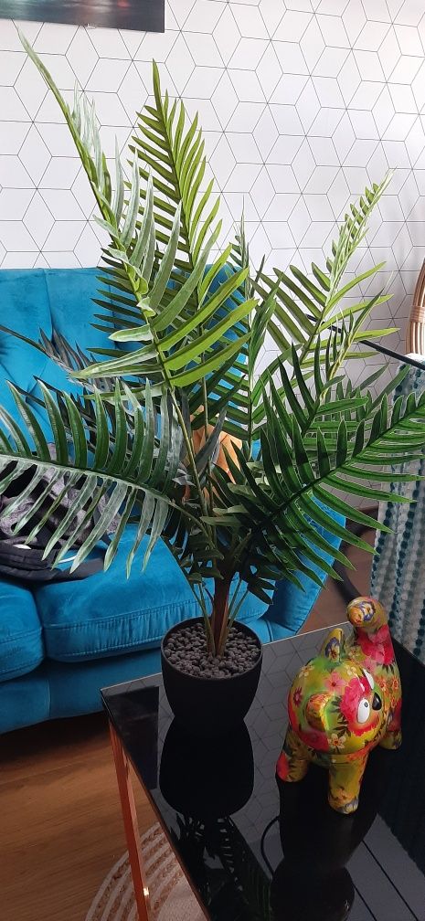 Sztuczna palma, roślina