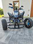 Quad 250 jinling