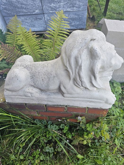 Lwy ozdobne do ogrodu