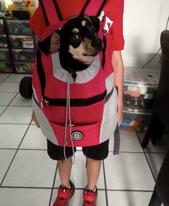 Рюкзак переноска ( сумка ) для собак и котов