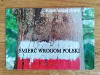 Magnes patriotyczny 10x7