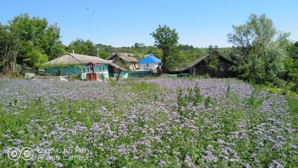 Продам будинок у селі