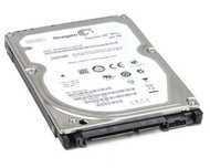 Dysk do laptopa Seagate 2,5 160 GB sata