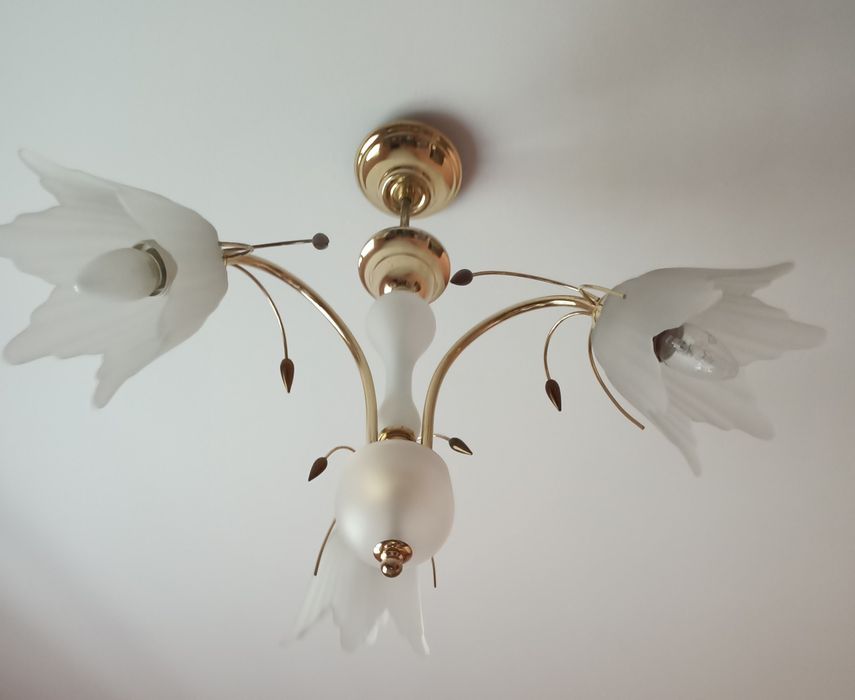 Żyrandol z mlecznymi kloszami