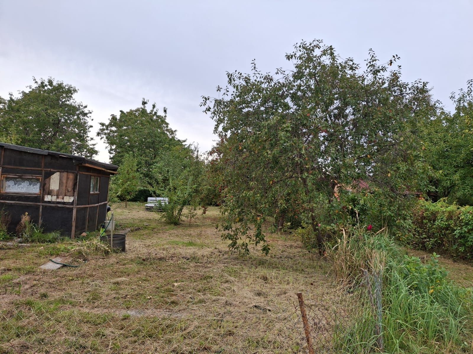 Działka ROD Irys 560 m2