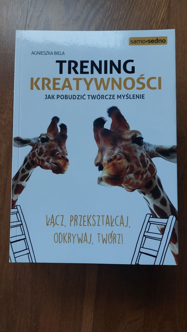 Książka Trening kreatywności A. Biela