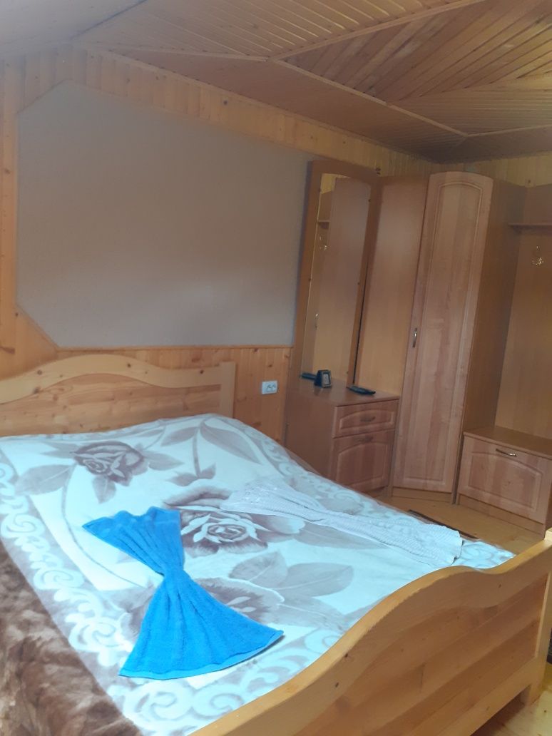Оренда котеджу в Карпатах біля гір