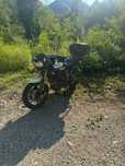 Tiger 800 uszkodzony