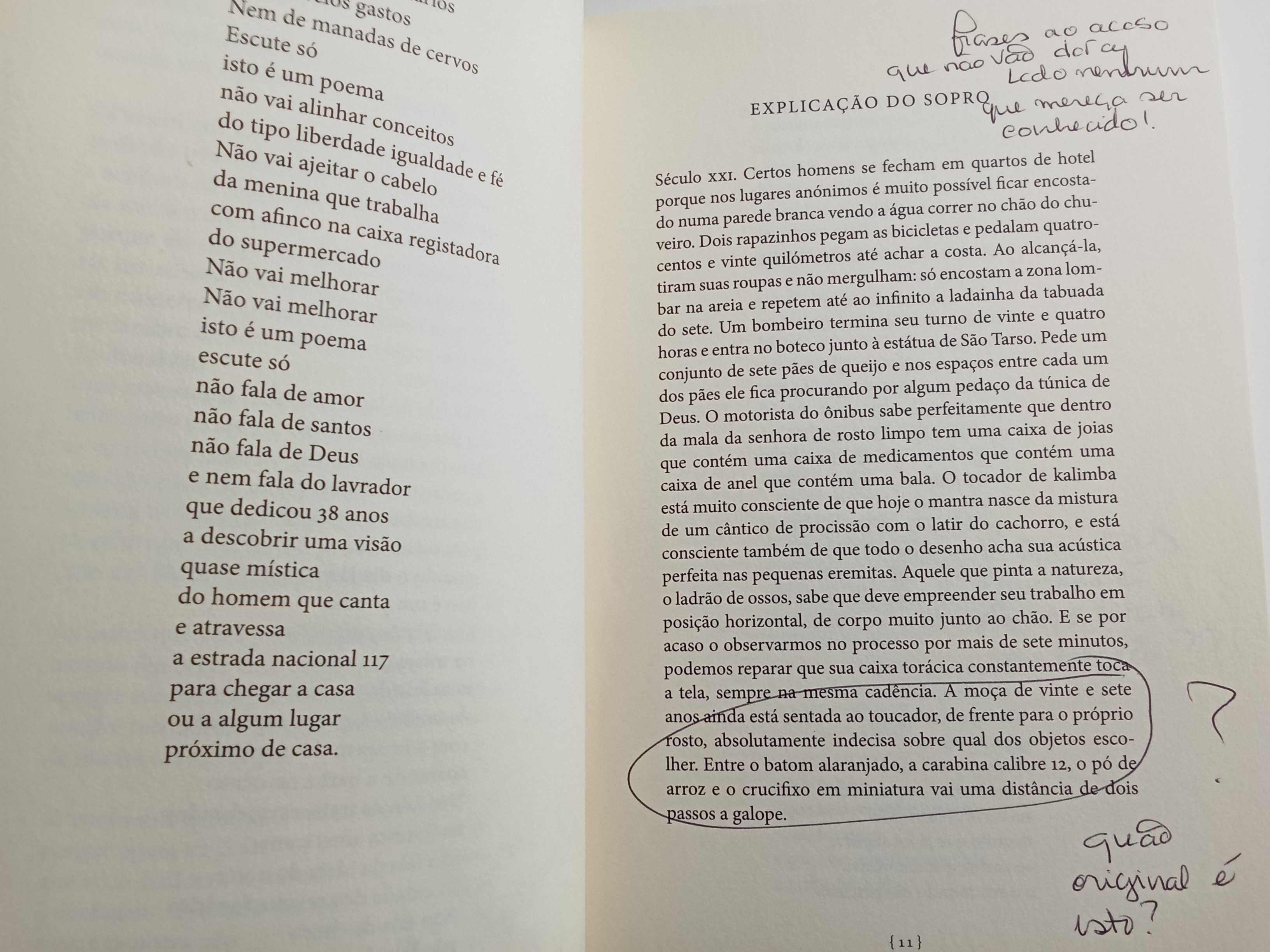 Matilde Campilho - Jóquei