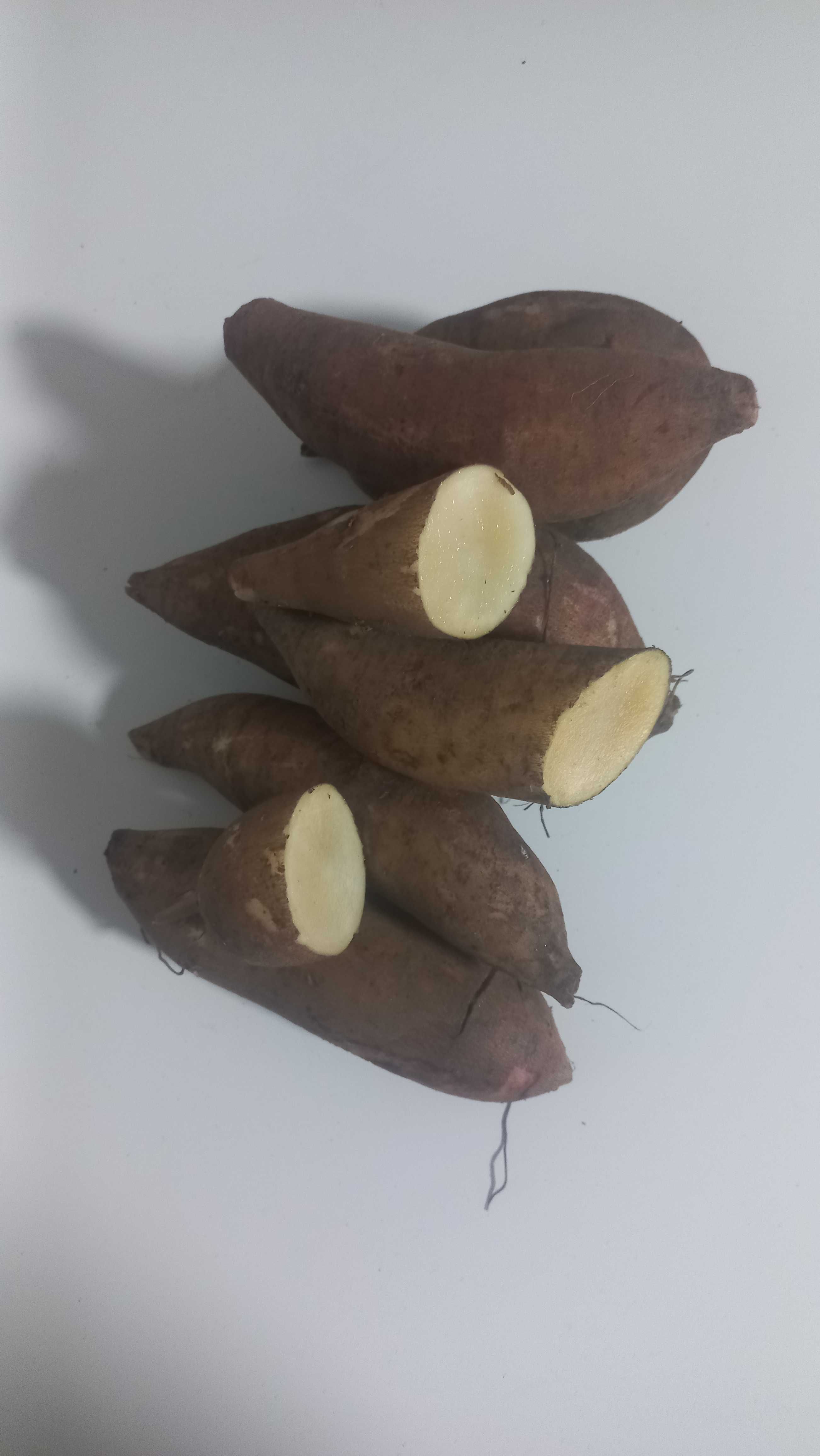 Batata Yacon e rizomas