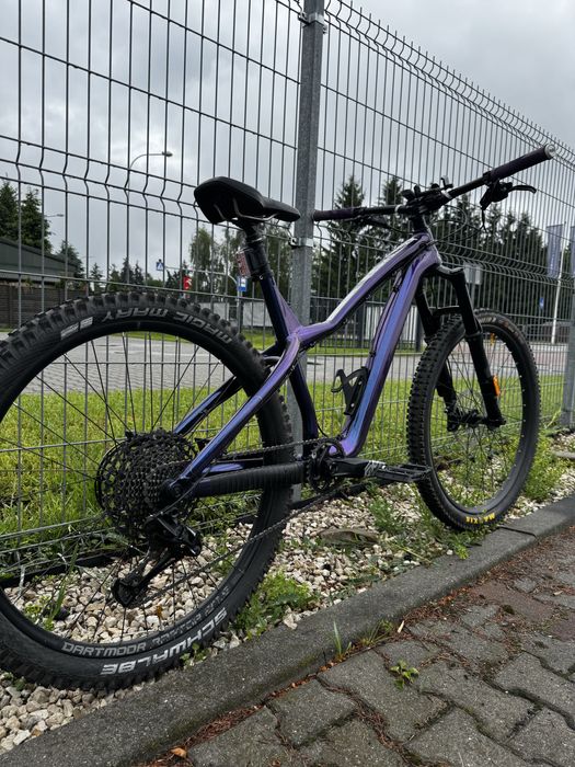 Dartmoor hornet Pro 2025 Mullet!