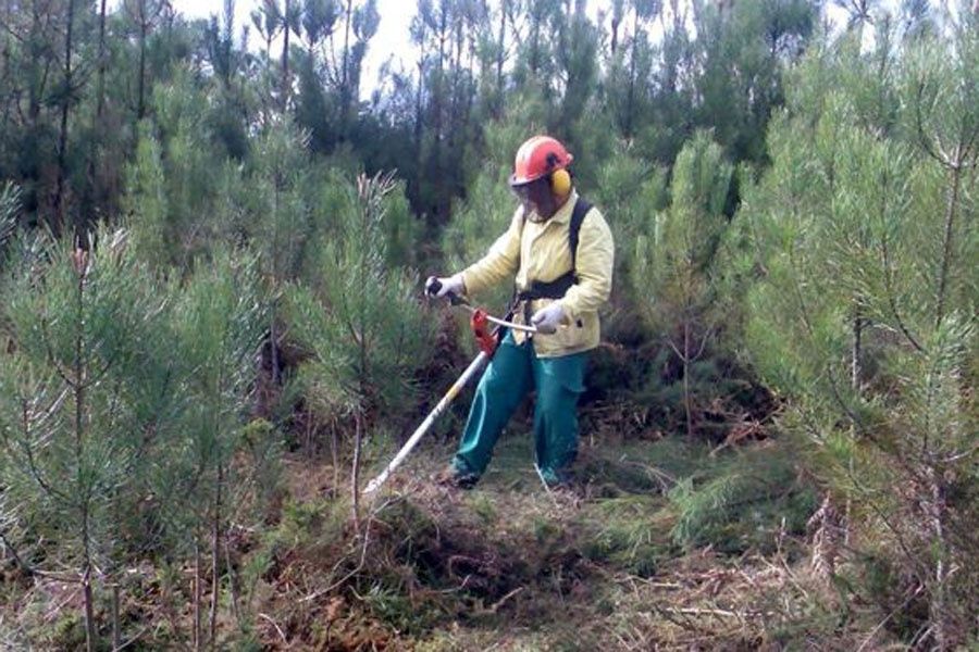 Limpeza terrenos e serviços agricolas