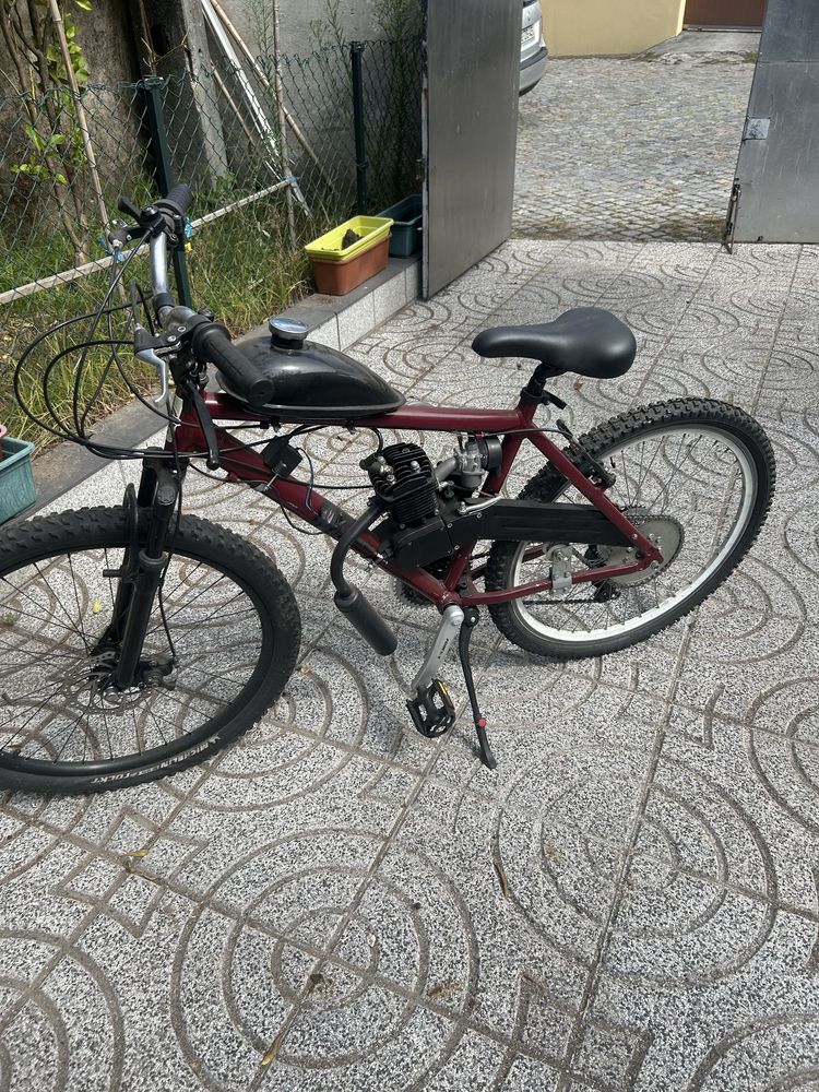 Bicicleta mororizada