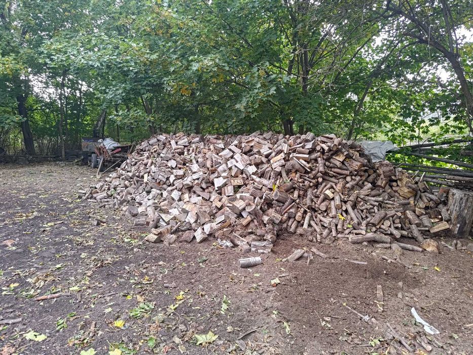 Drewno, rąbane sezonowane