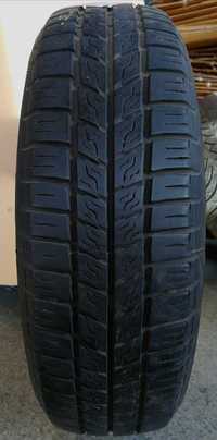 Opona wielosezonowa PIRELLI P2500 Euro 165/70R14 81T pojedynka