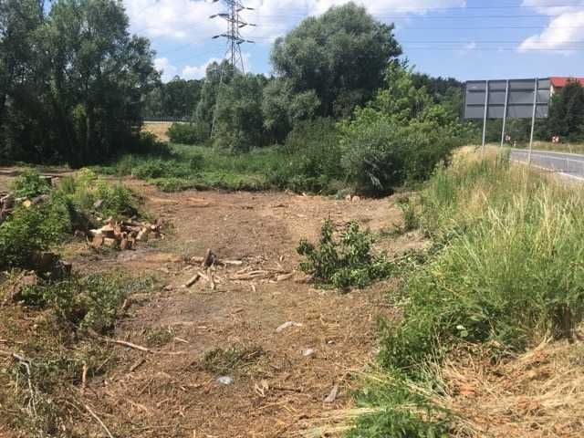 Karczowanie czyszczenie i rekultywacja działek mulczer leśny, wycinka