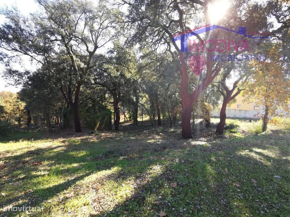 Terreno com 19408m2, com possibilidade de construção em Figueiró do...