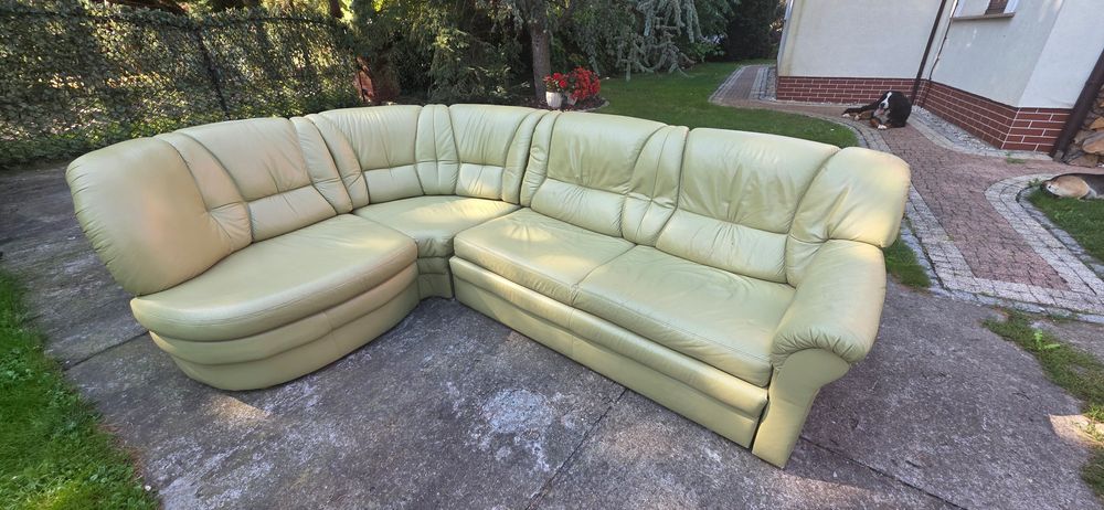 rogówka skóra oliwka