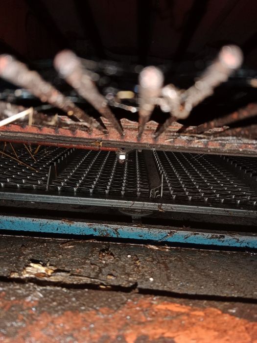 Bizon Z056 z stołem do rzepaku Rolmako