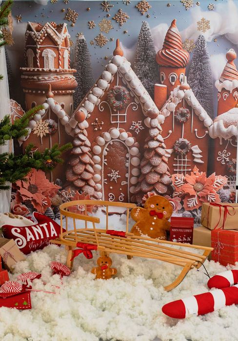 Świąteczne tło fotograficzne winylowe Bingoland 160x300