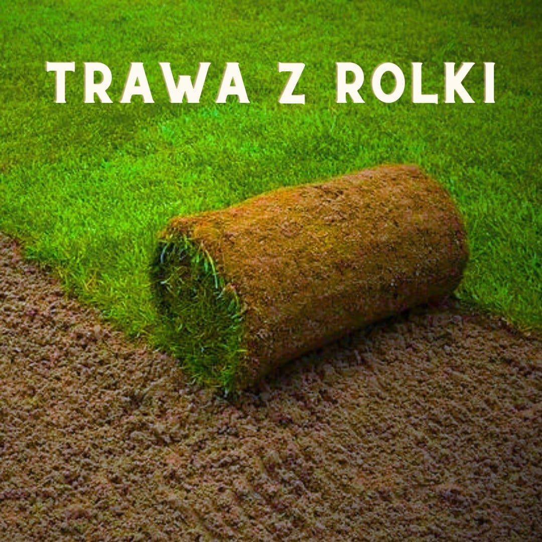 Trawa trawnik z rolki sprzedaż transport montaż wysylka paletowa