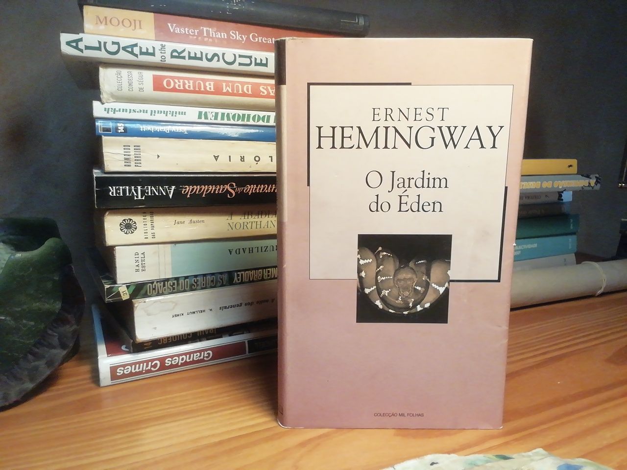 O jardim do édem de Hernest Hemingway