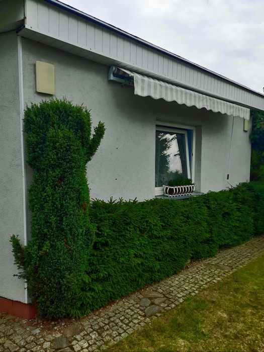 Działka rekreacyjna