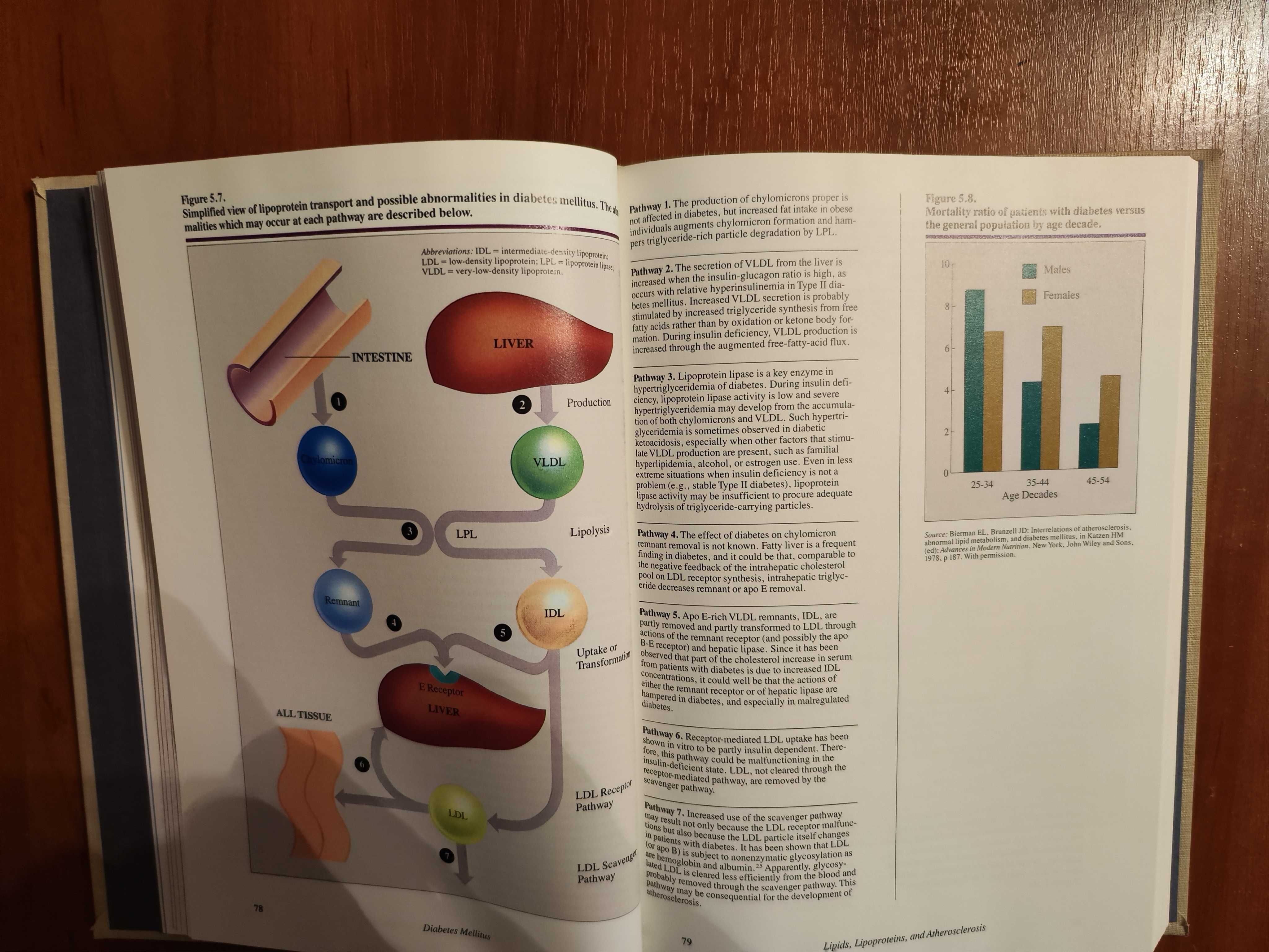 Diabetes Mellitus
Ninth Edition/ Сахарный диабет /1988 г