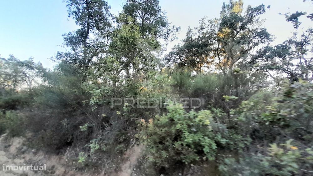 Terreno c/Sobreiros