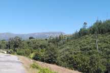 Terreno 20.0000m2 em Serrado - Maceirinha - Sta Eulália
