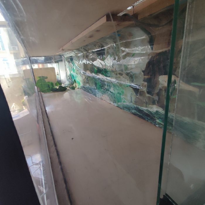 Terrário para répteis ACEITO PROPOSTAS