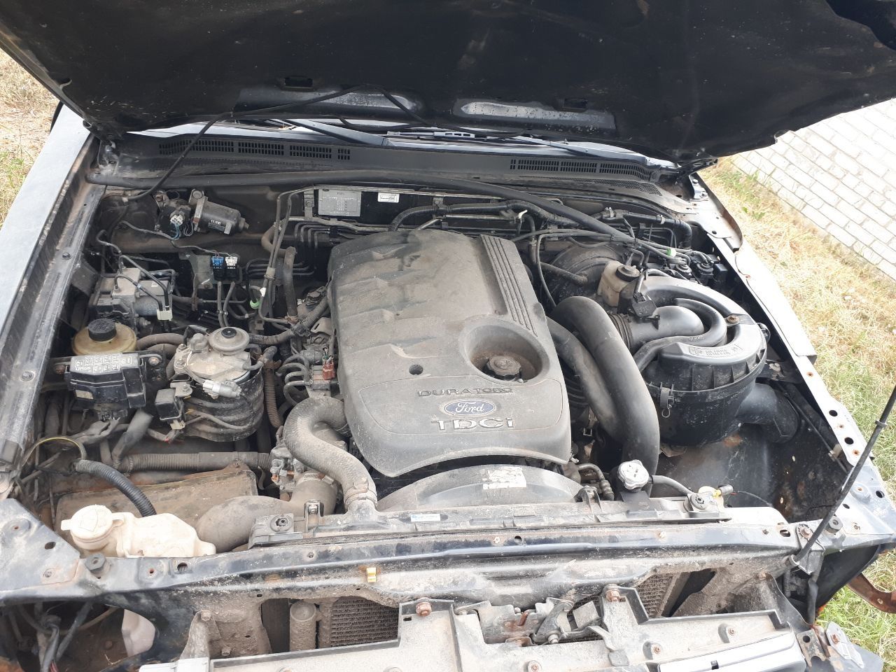 Двигатель Ford Ranger 2.5 , 3.0 2006 - 2012 г. 2.5 Mazda BT-50 Двигун