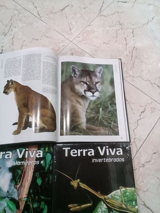 Livros coleção Terra Viva Animais