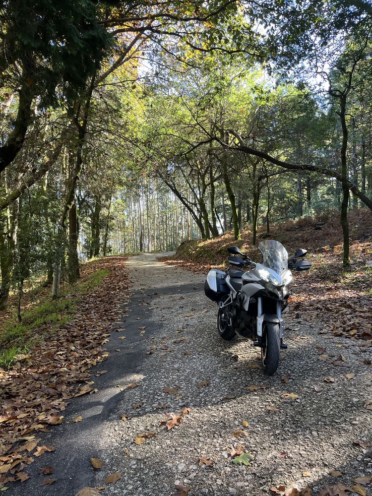 Ducati Multistrada 1200S