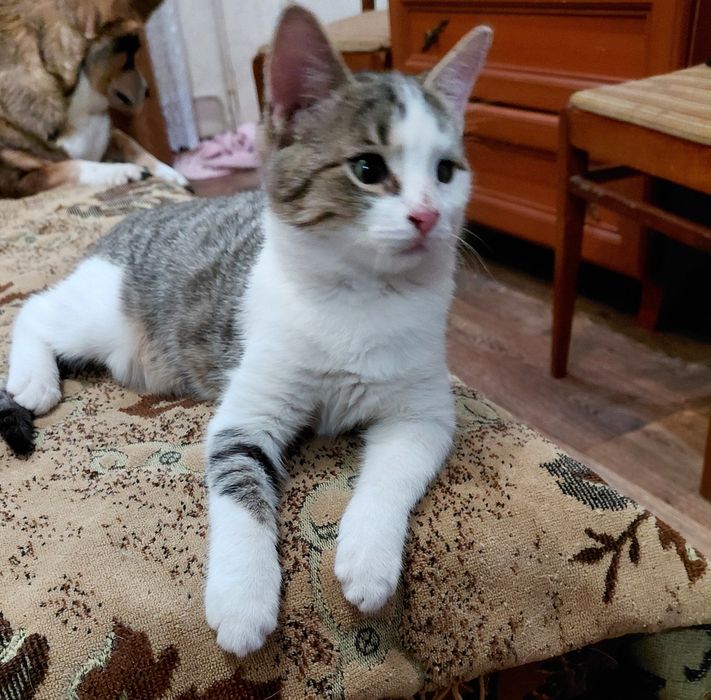 Хлопчик шукає родину!