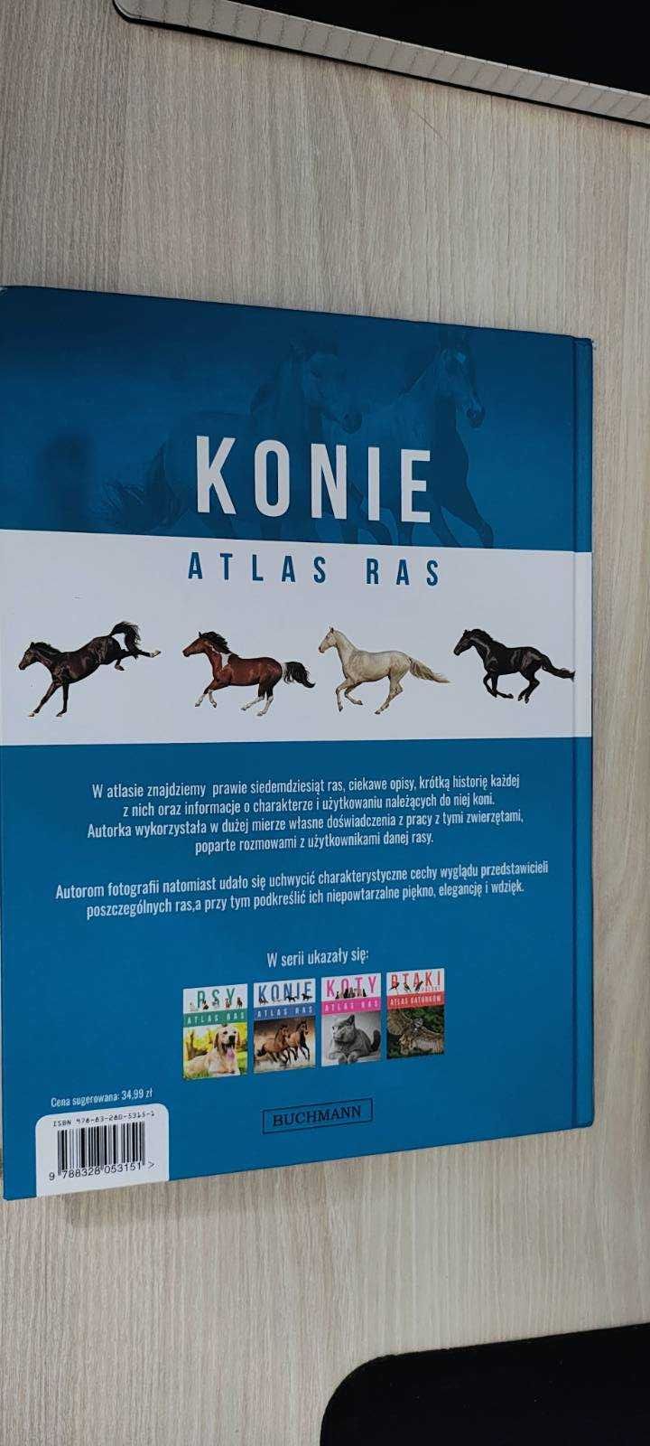 Konie Atlas Ras Buchmann