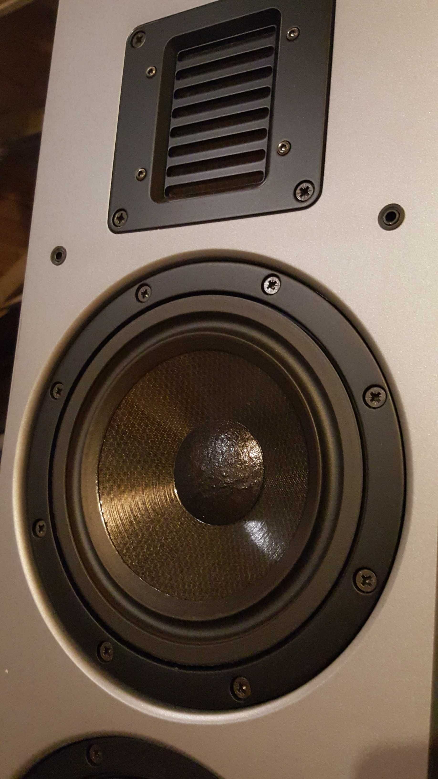 Adam ART Column Mk1 fenomenalny system nagłośnienia stereo