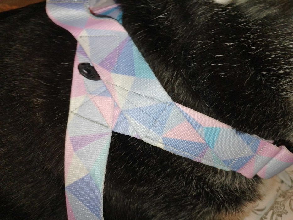 Warsaw Dog Szelki norweskie | L | 3,5 cm | Candy Blue