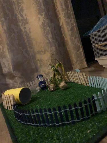 Gaiola e cercado para hamsters