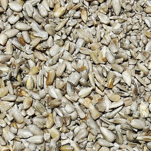 5kg Słonecznik łuskany 99% Karma zimowa dla ptaków Champi