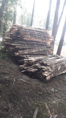 Obrzyny Tartaczne  (Opał Tartaczny Sosna,Świerk)