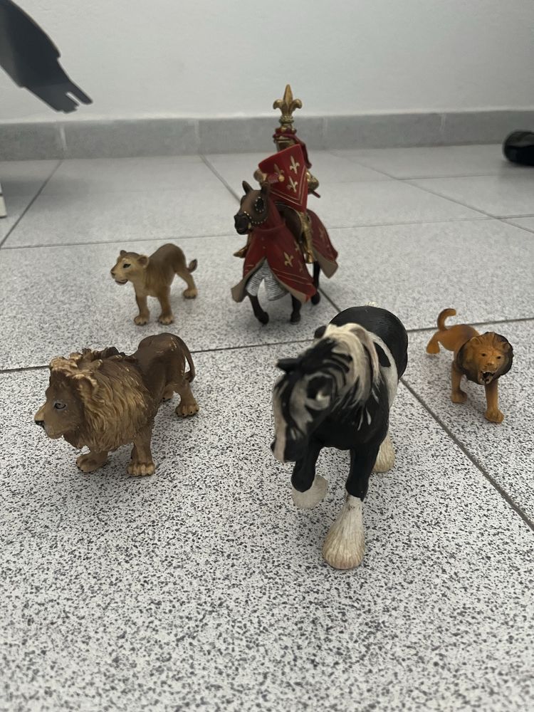 Cavaleiro e 4 animais