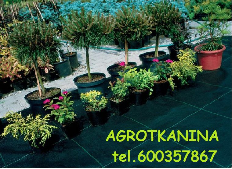 AGROTKANINA ZIELONA 1,10mx100m UV 90g Agrotkanina