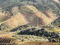 Herdade  para venda